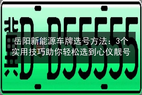 岳阳新能源车牌选号方法：3个实用技巧助你轻松选到心仪靓号 第2张