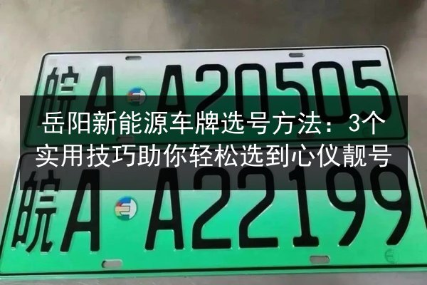 岳阳新能源车牌选号方法：3个实用技巧助你轻松选到心仪靓号 第3张