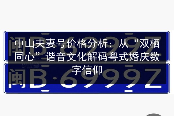 中山夫妻号价格分析：从“双栖同心”谐音文化解码粤式婚庆数字信仰