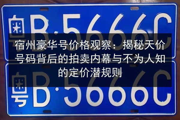 宿州豪华号价格观察:揭秘天价号码背后的拍卖内幕与不为人知的定价潜规则 第2张 宿州豪华号价格观察:揭秘天价号码背后的拍卖内幕与不为人知的定价潜规则 第2张