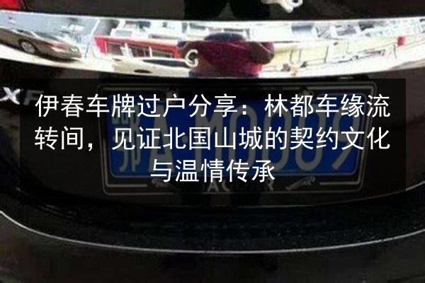 伊春车牌过户分享：林都车缘流转间，见证北国山城的契约文化与温情传承