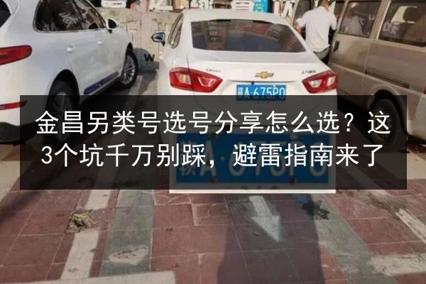 金昌另类号选号分享怎么选？这3个坑千万别踩，避雷指南来了 第2张
