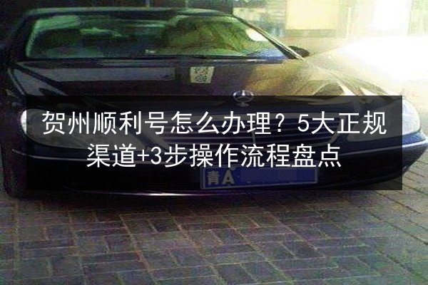贺州顺利号怎么办理？5大正规渠道+3步操作流程盘点