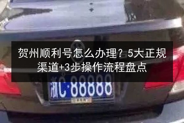 贺州顺利号怎么办理？5大正规渠道+3步操作流程盘点 第2张