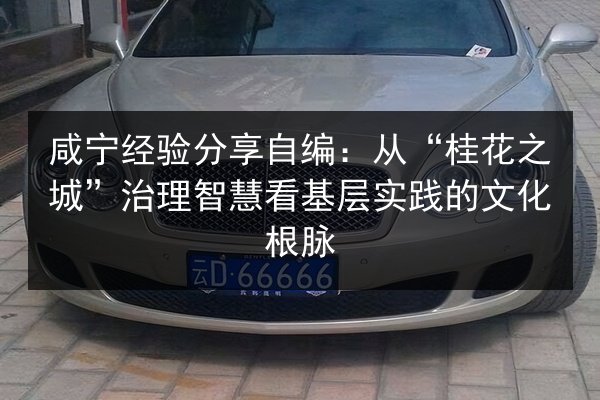 咸宁经验分享自编：从“桂花之城”治理智慧看基层实践的文化根脉 第3张