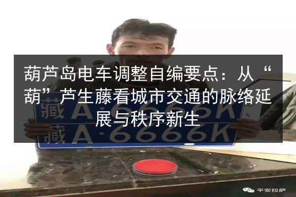 葫芦岛电车调整自编要点:从“葫”芦生藤看城市交通的脉络延展与秩序新生 第3张 葫芦岛电车调整自编要点:从“葫”芦生藤看城市交通的脉络延展与秩序新生 第3张