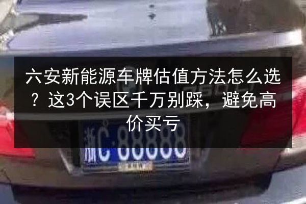 六安新能源车牌估值方法怎么选?这3个误区千万别踩,避免高价买亏 第3张 六安新能源车牌估值方法怎么选?这3个误区千万别踩,避免高价买亏 第3张