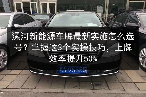 漯河新能源车牌最新实施怎么选号？掌握这3个实操技巧，上牌效率提升50% 第2张