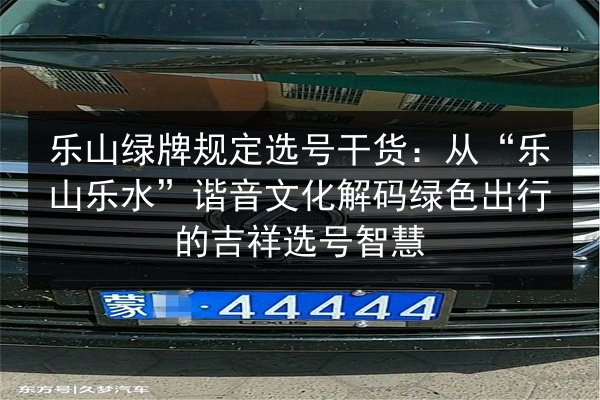 乐山绿牌规定选号干货：从“乐山乐水”谐音文化解码绿色出行的吉祥选号智慧 第2张