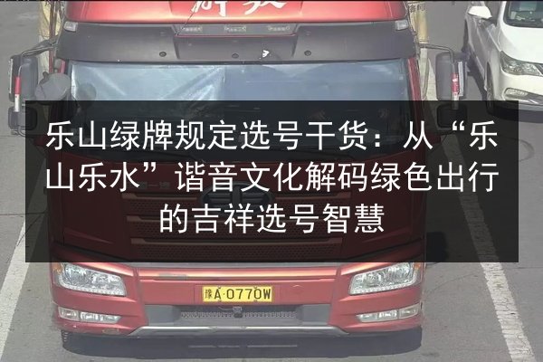乐山绿牌规定选号干货：从“乐山乐水”谐音文化解码绿色出行的吉祥选号智慧 第3张