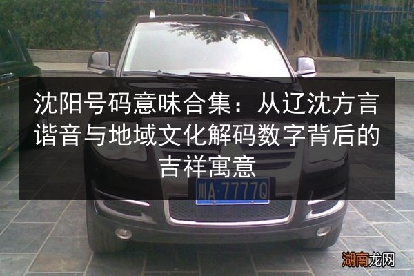 沈阳号码意味合集：从辽沈方言谐音与地域文化解码数字背后的吉祥寓意 第2张