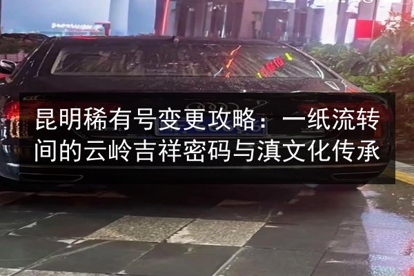 昆明稀有号变更攻略：一纸流转间的云岭吉祥密码与滇文化传承 第2张