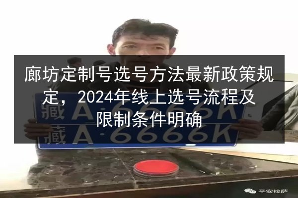 廊坊定制号选号方法最新政策规定，2024年线上选号流程及限制条件明确