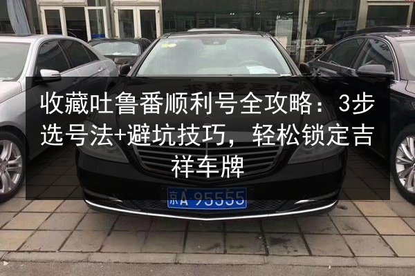 收藏吐鲁番顺利号全攻略：3步选号法+避坑技巧，轻松锁定吉祥车牌 第3张