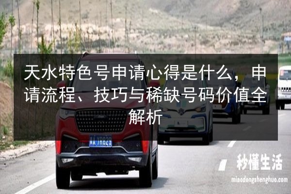 天水特色号申请心得是什么，申请流程、技巧与稀缺号码价值全解析 第3张