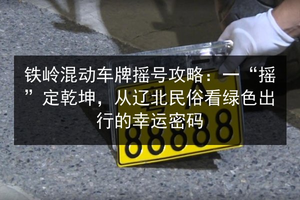铁岭混动车牌摇号攻略：一“摇”定乾坤，从辽北民俗看绿色出行的幸运密码 第2张