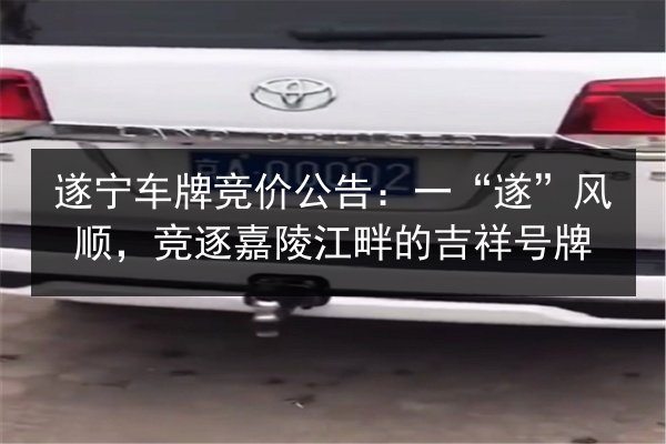 遂宁车牌竞价公告：一“遂”风顺，竞逐嘉陵江畔的吉祥号牌