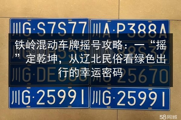 铁岭混动车牌摇号攻略：一“摇”定乾坤，从辽北民俗看绿色出行的幸运密码 第3张