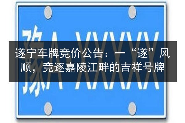 遂宁车牌竞价公告:一“遂”风顺,竞逐嘉陵江畔的吉祥号牌 第3张 遂宁车牌竞价公告:一“遂”风顺,竞逐嘉陵江畔的吉祥号牌 第3张