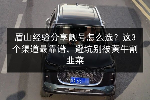 眉山经验分享靓号怎么选？这3个渠道最靠谱，避坑别被黄牛割韭菜 第3张
