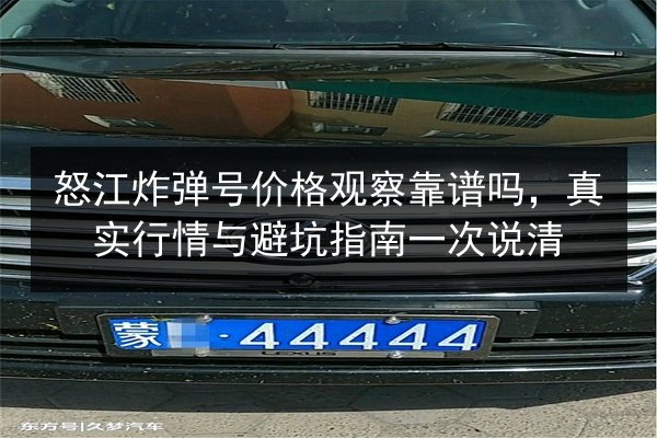 怒江炸弹号价格观察靠谱吗，真实行情与避坑指南一次说清