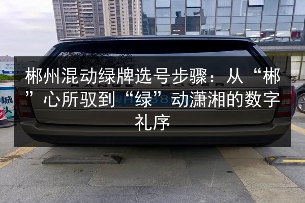 郴州混动绿牌选号步骤:从“郴”心所驭到“绿”动潇湘的数字礼序 第3张 郴州混动绿牌选号步骤:从“郴”心所驭到“绿”动潇湘的数字礼序 第3张
