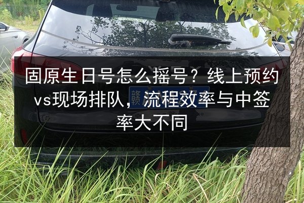 固原生日号怎么摇号？线上预约vs现场排队，流程效率与中签率大不同