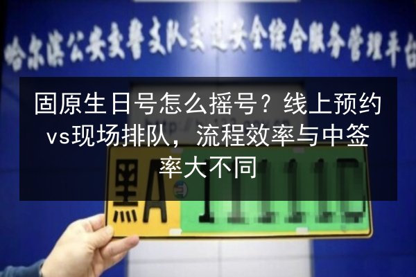 固原生日号怎么摇号？线上预约vs现场排队，流程效率与中签率大不同 第2张
