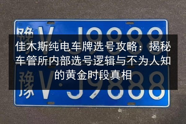 佳木斯纯电车牌选号攻略：揭秘车管所内部选号逻辑与不为人知的黄金时段真相