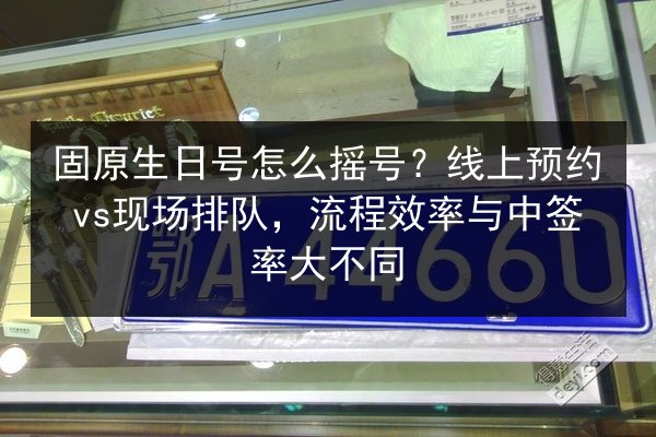 固原生日号怎么摇号？线上预约vs现场排队，流程效率与中签率大不同 第3张