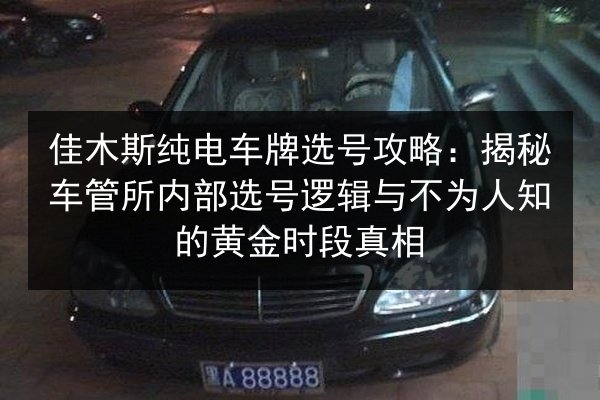 佳木斯纯电车牌选号攻略:揭秘车管所内部选号逻辑与不为人知的黄金时段真相 第2张 佳木斯纯电车牌选号攻略:揭秘车管所内部选号逻辑与不为人知的黄金时段真相 第2张