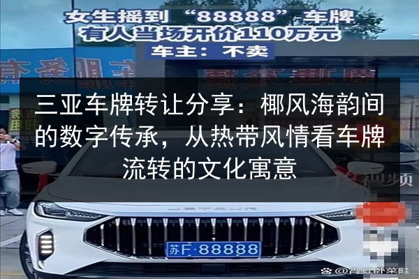 三亚车牌转让分享：椰风海韵间的数字传承，从热带风情看车牌流转的文化寓意