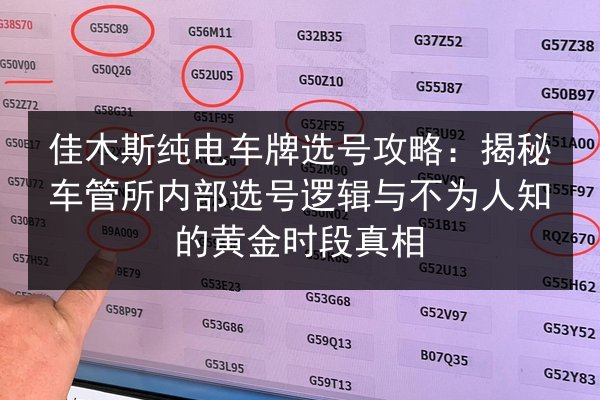 佳木斯纯电车牌选号攻略:揭秘车管所内部选号逻辑与不为人知的黄金时段真相 第3张 佳木斯纯电车牌选号攻略:揭秘车管所内部选号逻辑与不为人知的黄金时段真相 第3张