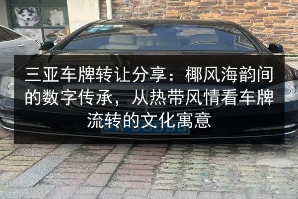 三亚车牌转让分享:椰风海韵间的数字传承,从热带风情看车牌流转的文化寓意 第2张 三亚车牌转让分享:椰风海韵间的数字传承,从热带风情看车牌流转的文化寓意 第2张
