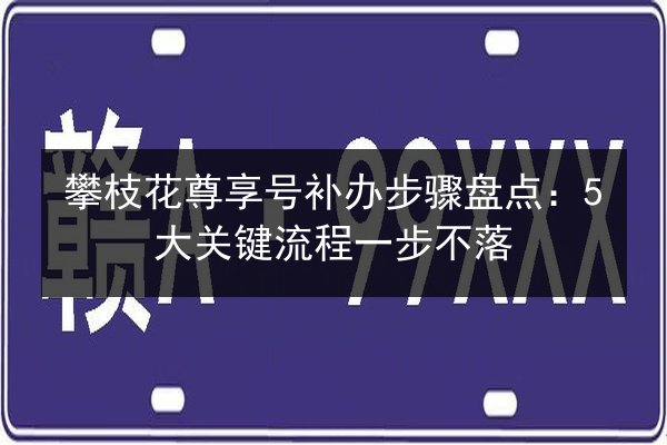 攀枝花尊享号补办步骤盘点:5大关键流程一步不落 第2张 攀枝花尊享号补办步骤盘点:5大关键流程一步不落 第2张