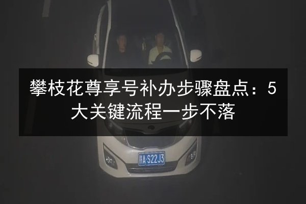 攀枝花尊享号补办步骤盘点:5大关键流程一步不落 第3张 攀枝花尊享号补办步骤盘点:5大关键流程一步不落 第3张