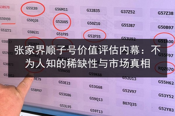 张家界顺子号价值评估内幕：不为人知的稀缺性与市场真相