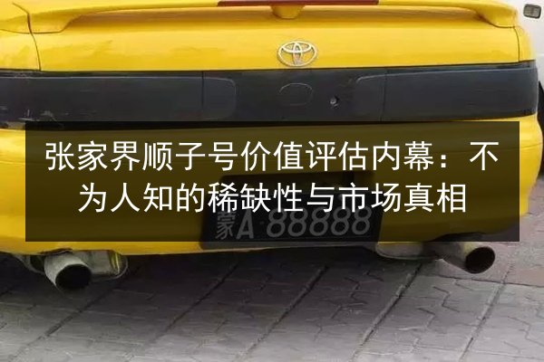 张家界顺子号价值评估内幕：不为人知的稀缺性与市场真相 第2张