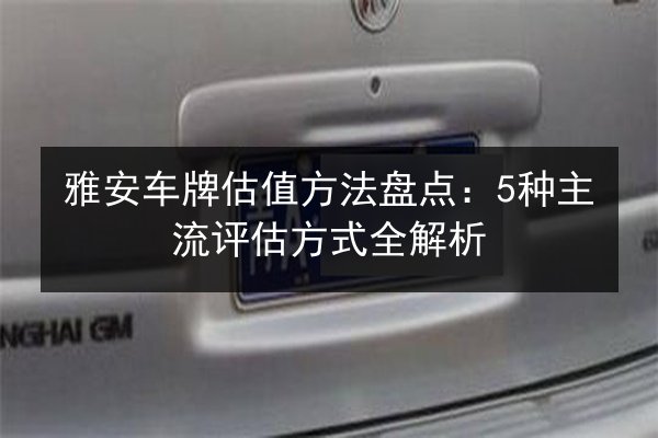 雅安车牌估值方法盘点：5种主流评估方式全解析
