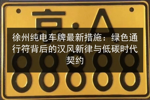 徐州纯电车牌最新措施：绿色通行符背后的汉风新律与低碳时代契约 第3张