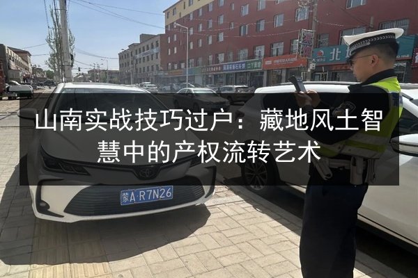 山南实战技巧过户：藏地风土智慧中的产权流转艺术 第2张