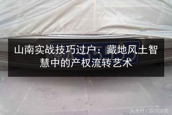 山南实战技巧过户：藏地风土智慧中的产权流转艺术 第3张