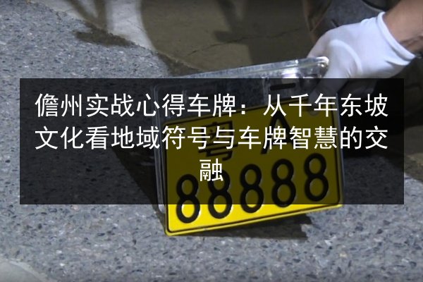 儋州实战心得车牌：从千年东坡文化看地域符号与车牌智慧的交融