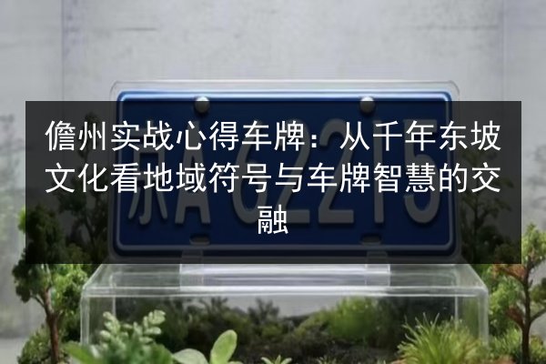 儋州实战心得车牌:从千年东坡文化看地域符号与车牌智慧的交融 第2张 儋州实战心得车牌:从千年东坡文化看地域符号与车牌智慧的交融 第2张