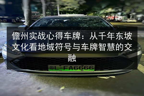 儋州实战心得车牌:从千年东坡文化看地域符号与车牌智慧的交融 第3张 儋州实战心得车牌:从千年东坡文化看地域符号与车牌智慧的交融 第3张
