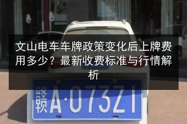 文山电车车牌政策变化后上牌费用多少？最新收费标准与行情解析