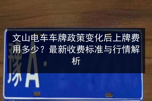 文山电车车牌政策变化后上牌费用多少？最新收费标准与行情解析 第3张