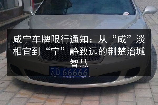 咸宁车牌限行通知：从“咸”淡相宜到“宁”静致远的荆楚治城智慧 第3张