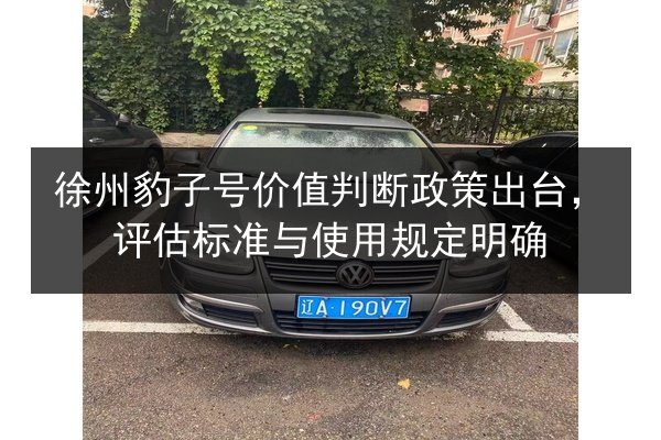 徐州豹子号价值判断政策出台,评估标准与使用规定明确 第2张 徐州豹子号价值判断政策出台,评估标准与使用规定明确 第2张