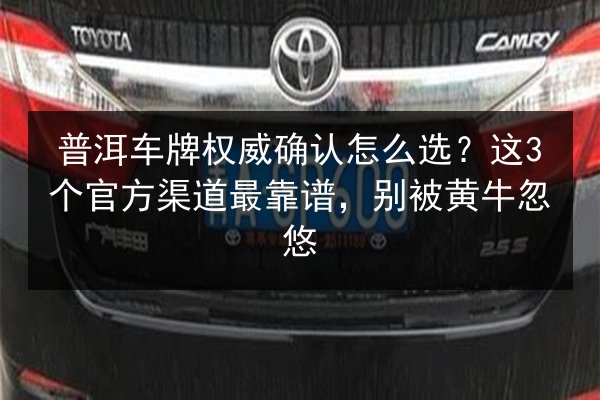 普洱车牌权威确认怎么选？这3个官方渠道最靠谱，别被黄牛忽悠 第2张